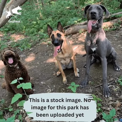 Pioneer Dog Park photo 2